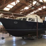 Veha Cruiser “ANJO” – photo 3