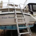 KEMPALA “AFRICAN MONARCH” – photo 28