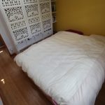 Silure – photo 18