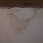 SPIT “SARAVAH” – photo 16