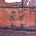 SPIT “SARAVAH” – photo 4
