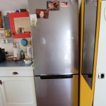 Silure – photo 6