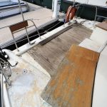 CATAMARAN “MANATEE” – photo 29