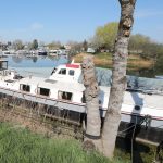 ISSELMEER KLIPPER “RENAISSANCE” – photo 2