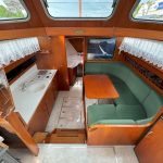 HOLLANDIA “MORGANE” – photo 3