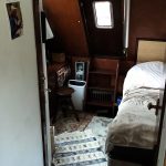 VEDETTE HOLLANDAISE CAMMENGA – photo 12