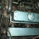 VEDETTE HOLLANDAISE CAMMENGA – photo 22