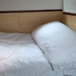 VEDETTE HOLLANDAISE CAMMENGA – photo 13