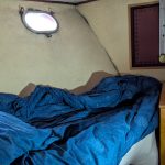 VEDETTE HOLLANDAISE CAMMENGA – photo 17