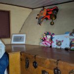 VEDETTE HOLLANDAISE CAMMENGA – photo 14