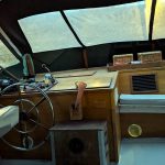 VEDETTE HOLLANDAISE CAMMENGA – photo 4