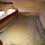 ACM DYNASTY 43 “GENESYS” – photo 6
