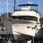 ACM DYNASTY 43 “GENESYS” – photo 15
