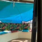 BATEAU A PASSAGERS MISS 11.50 – photo 17