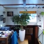 PENICHE 29.07 M – photo 6