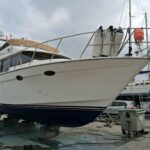 VEDETTE OCEAN ALEXANDER – photo 17