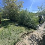 Péniche Freycinet 38,97 m BONANZA (1957) – jardin en bord de berge et passerelle