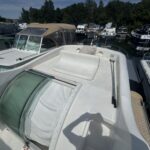 Vedette fluviale Nicols 1100 Lodève (1998) – pont supérieur arrière et bain de soleil